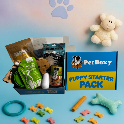 Puppy Starter Pack